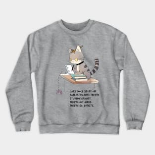 Cat Studying Gravity Crewneck Sweatshirt